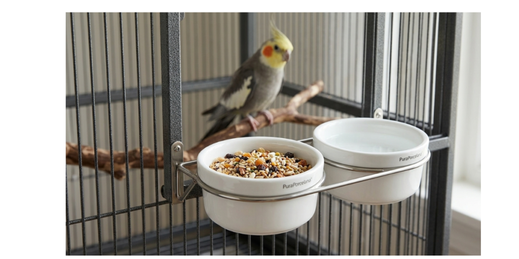 Dois potes comedouros de porcelana branca vitrificada com sementes e água limpa instalados com suporte metálico em um viveiro de calopsita limpo.