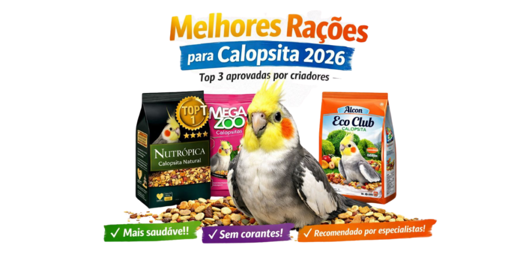Calopsita comendo ração extrusada balanceada ao lado de alimentos saudáveis.