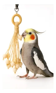 mundocalopsita brinquedsos
