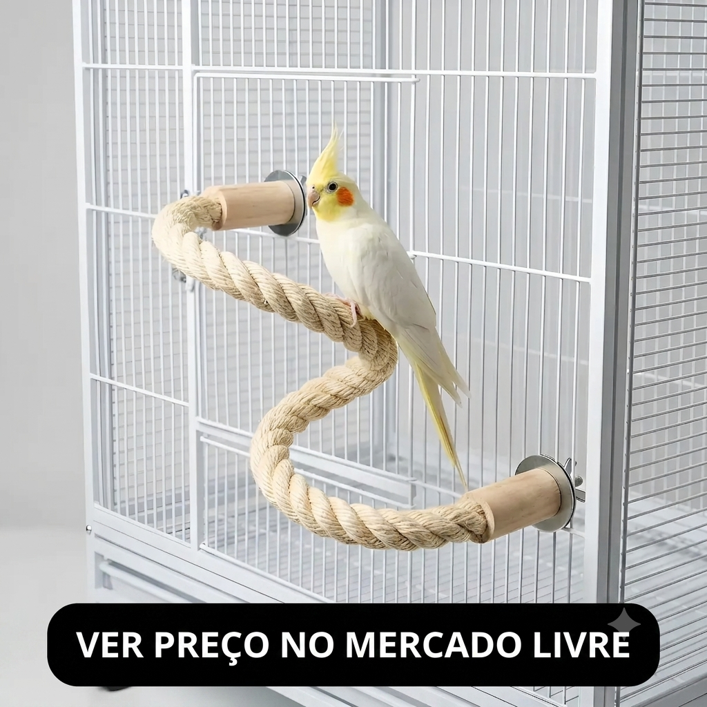 poleiro-de-sisal-para-calopsita-mercado-livre Poleiro de sisal em formato de S com calopsita branca em um viveiro espaçoso.