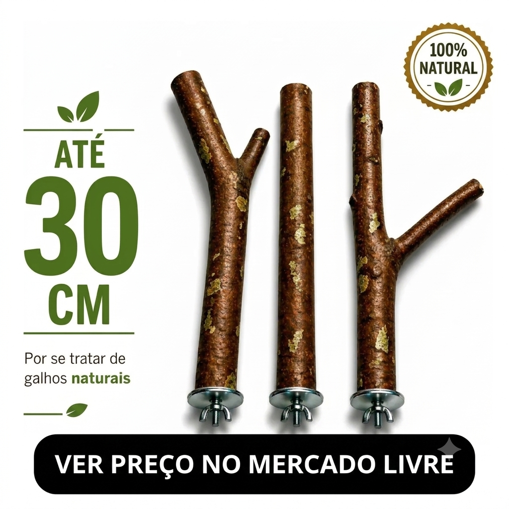 poleiro-natural-galho-para-calopsita-mercado-livre Kit com três poleiros de galhos de árvore naturais com presilhas para gaiola de calopsita.